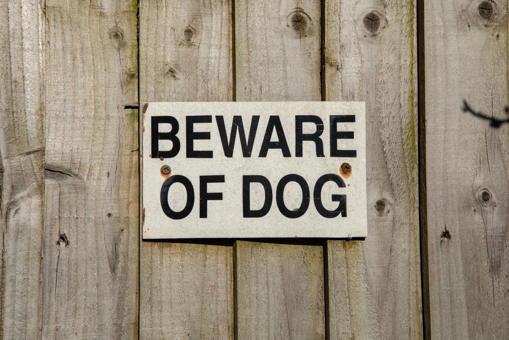 AbewareOfTheDogSignOnAWoodenFence